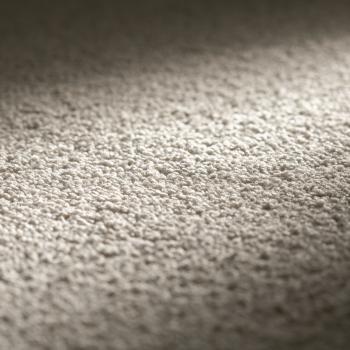 Preview: JAB Allure Teppichboden 577 Beige – Draufsicht auf klassischen Farbton mit ruhiger Veloursoberfläche